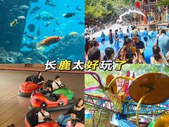 -长鹿旅游休博园