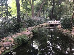 -成都市活水公园