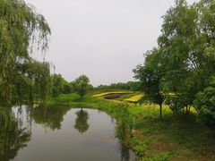 -梁鸿国家湿地公园