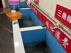 -彭大姐老店黄辣丁(新津店)