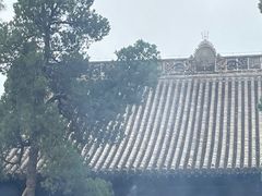 -洛阳白马寺