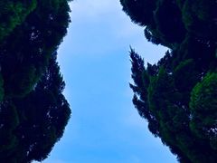 -小麦岛公园
