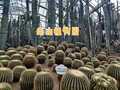 -南山植物园
