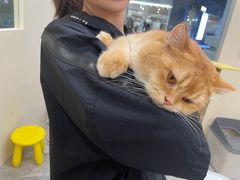 -猫力发电所·宠物专门店