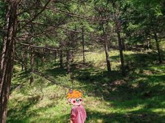 -苏木山森林公园