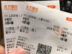 -SFC上影百联影城(川沙IMAX店)
