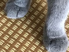 -泰国佛·塔罗·泰牌狐仙古曼
