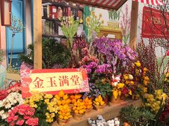-海心沙亚运公园