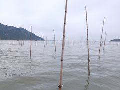 -北岐滩涂