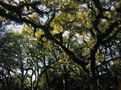 -桂林独秀峰王城景区