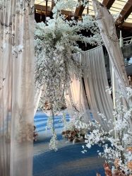 -DC大蔡婚礼策划(李公堤店)