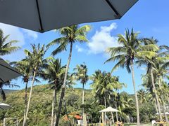 -三亚亚龙湾金棕榈度假酒店