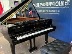 -刘健艺术钢琴学校·专注钢琴教育25周年(徐家汇校区)