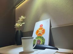 -新加坡航空公司(ION)