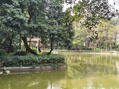 -黄埔荔枝公园