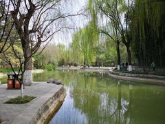 -西安市长乐公园
