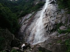 -同济大排档