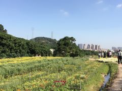 -乐享养生(东湖店)