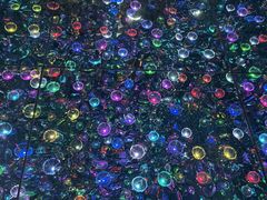 -上海梵高星空艺术馆(南京路旗舰店)