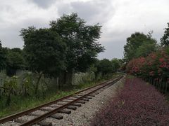 -武汉紫薇都市田园