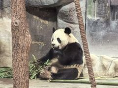-栾川竹海野生动物园