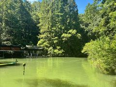 -灵栖洞天