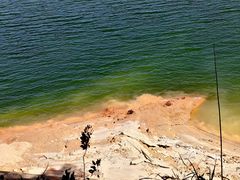 -广州市流溪河国家森林公园