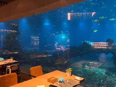 -涛·海底餐厅·美人鱼·自助餐·海底隧道(三亚海棠湾洲际度假酒店)