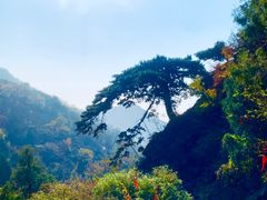 -泰山风景名胜区