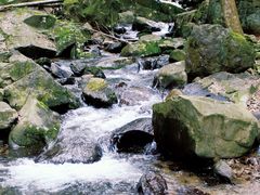 -万达广场(临港店)