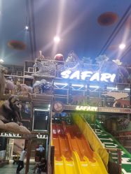 -卡通尼·Safari非洲探索乐园·生日会(金桥国际商业广场店)