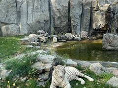 -北京野生动物园