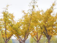 -钟山体育运动公园