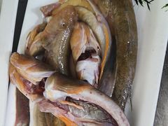 -宾朋海鲜特色美食餐厅·纯手工鲅鱼水饺(兴海路店)