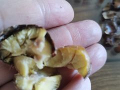 -阿男野栗王(金门路店)