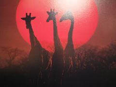 -罗红摄影艺术馆