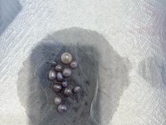 -十八字金·银饰·开蚌DIY·手工体验团建(君太百货店)