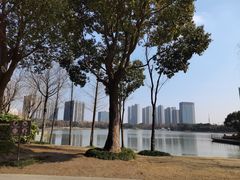 -南翔镇银翔湖公园
