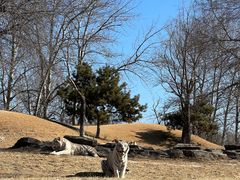 -北京野生动物园