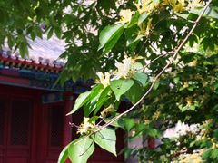 -国家植物园