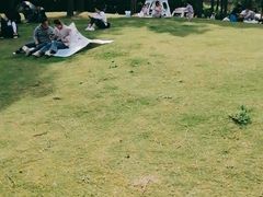 -美兰湖景区