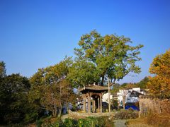 -塔川景区