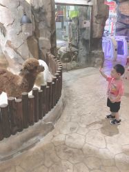 -宝燕乐园(闵行旗舰店)