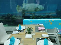 -海棠湾洲际-涛·海底餐厅·美人鱼·自助餐·海底隧道
