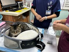 -纳吉亚猫专科动物医院博雅分院