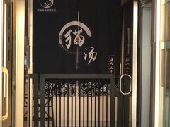 -伟伟宠物医院·瑞派猫友好医院·猫科(光谷店)