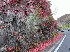 -百里山水画廊