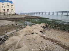 -黑石礁公园