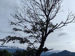 -丽江泸沽湖景区