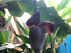 -北国之春国宴(乌兰察布店)